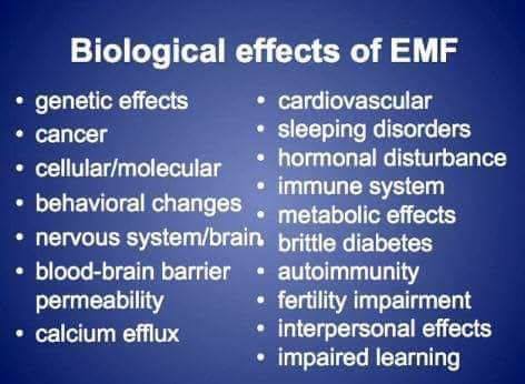 Biological Effects of EMF's